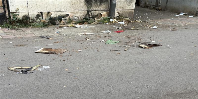 The Independent Voice