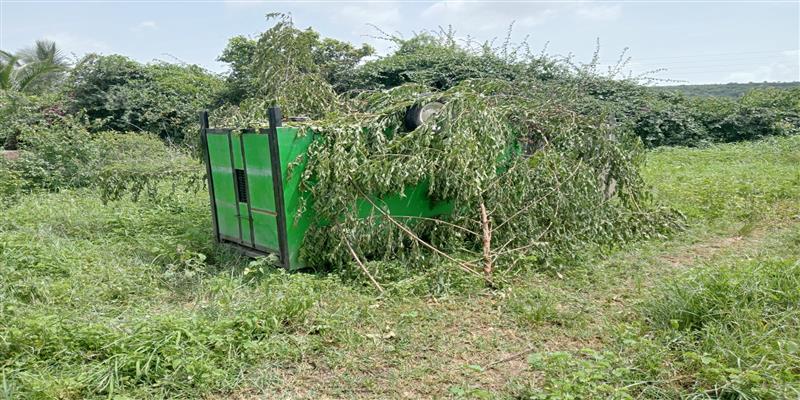 The Independent Voice