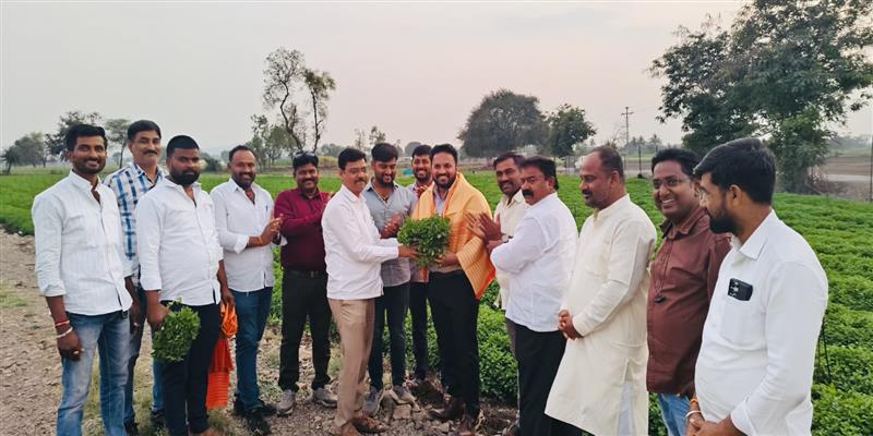 The Independent Voice