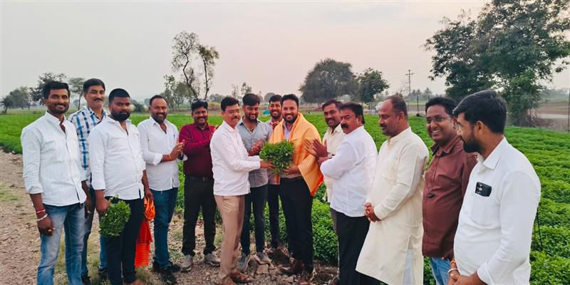 The Independent Voice