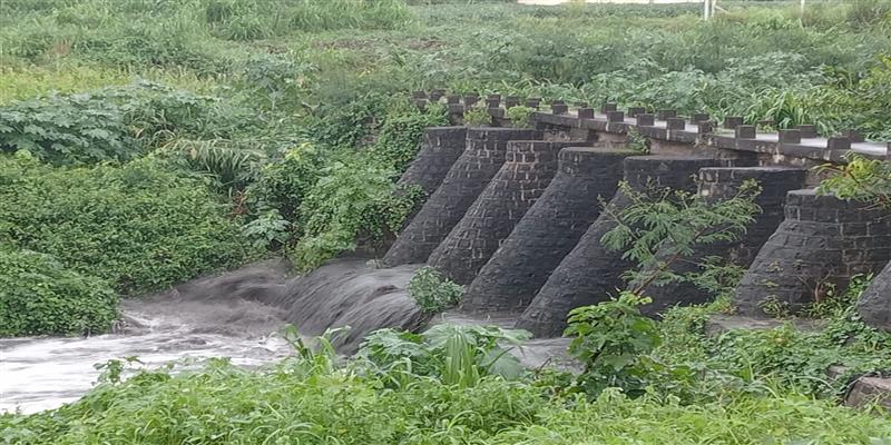 The Independent Voice